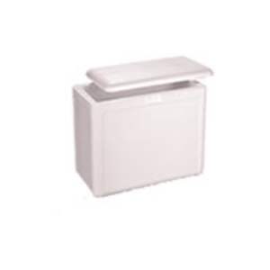 CAIXA ISOPOR  21 LITROS  GOLDPAC 0021
