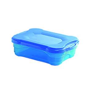 CAIXA ORGANIZADORA 13L JAGUAR       0667