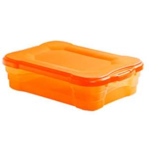 CAIXA ORGANIZADORA 23L JAGUAR BX    0620